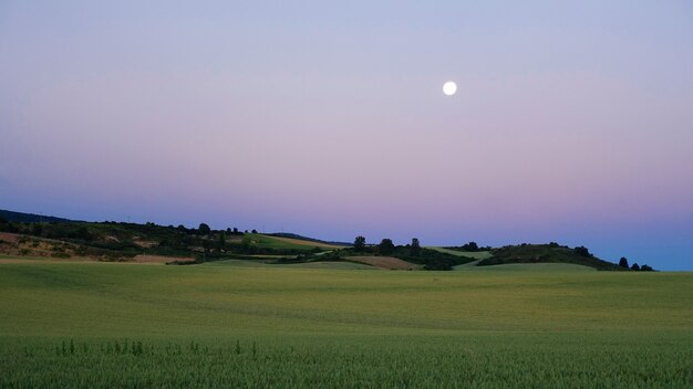 Incroyable paysage de crépuscule d'été de la vallée verte