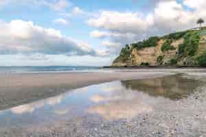 Photo gratuite incroyable photo d'une belle plage de sable