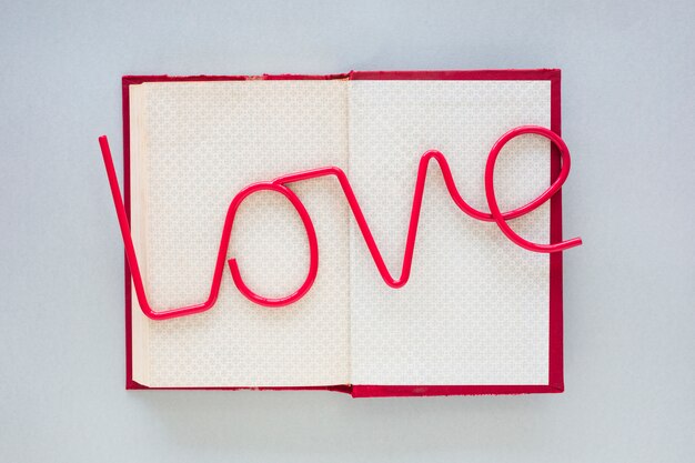 Inscription d&#39;amour sur le cahier