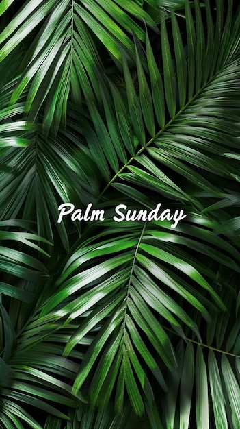 Photo gratuite l'inscription dimanche des rameaux sur fond d'affiche verticale de feuilles de palmier entrelacées