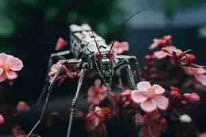 Photo gratuite insecte robotique avec des fleurs