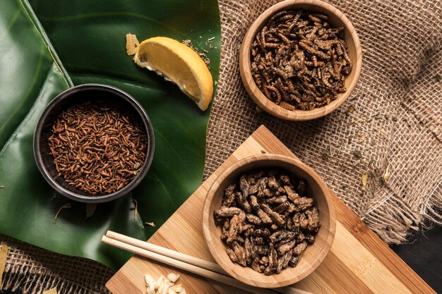 Insectes croquants sur la vue de dessus de la feuille de monstera