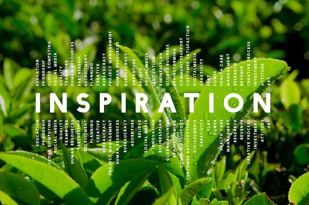 Inspiration Rêve Imagination Creative Inspirer Concept