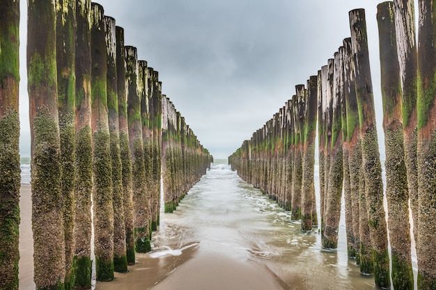 Installations de brise-vagues en bois en mer du Nord, Zélande, Pays-Bas