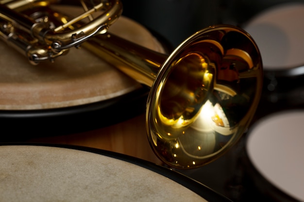 Photo gratuite instrument de musique dans le magasin