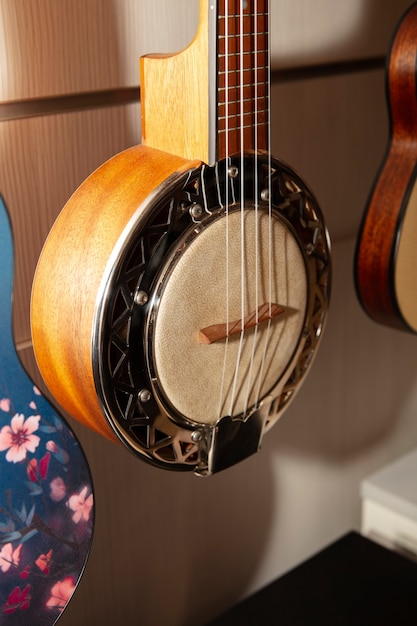 Instrument de musique dans le magasin