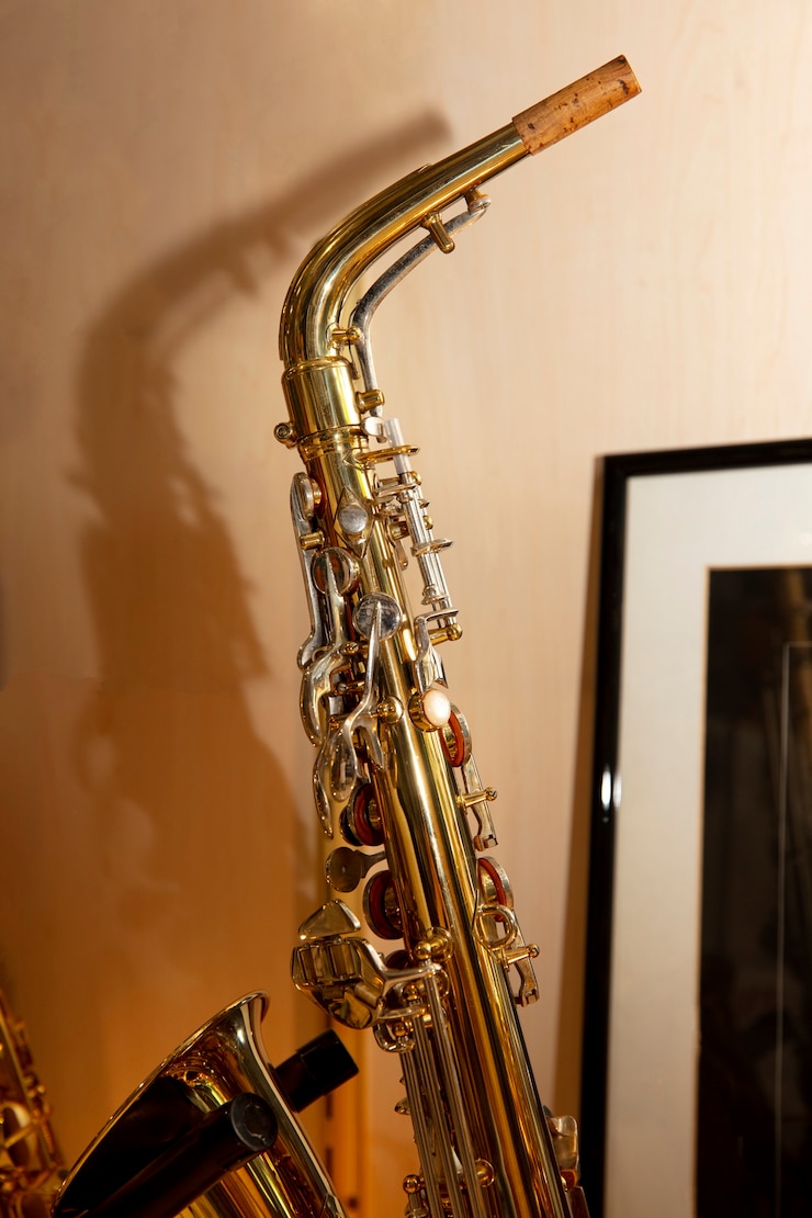 Photo gratuit instrument de musique dans le magasin
