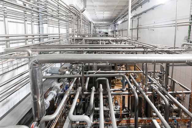 Intérieur de l'industrie fromagère et production de fond de fromage à pâte dure