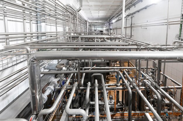 Intérieur de l'industrie fromagère et production de fond de fromage à pâte dure