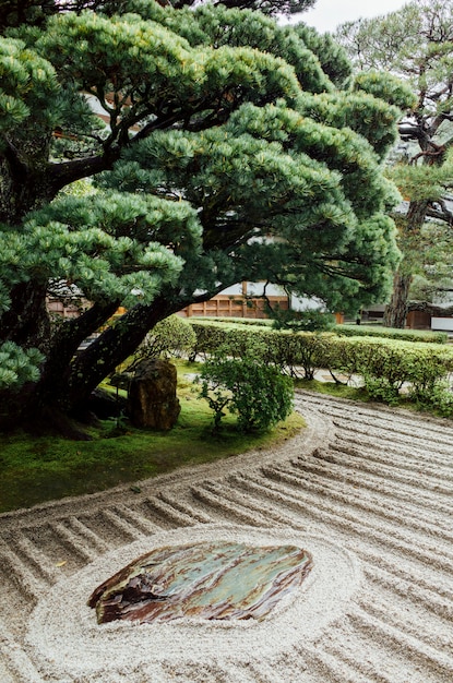 japon minimal d'arbres et de jardins