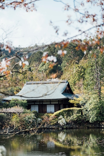 Photo gratuite japon traditionnel style maison et piscine