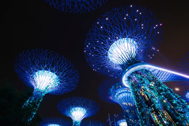 Jardin de la baie en scène de nuit à Singapour