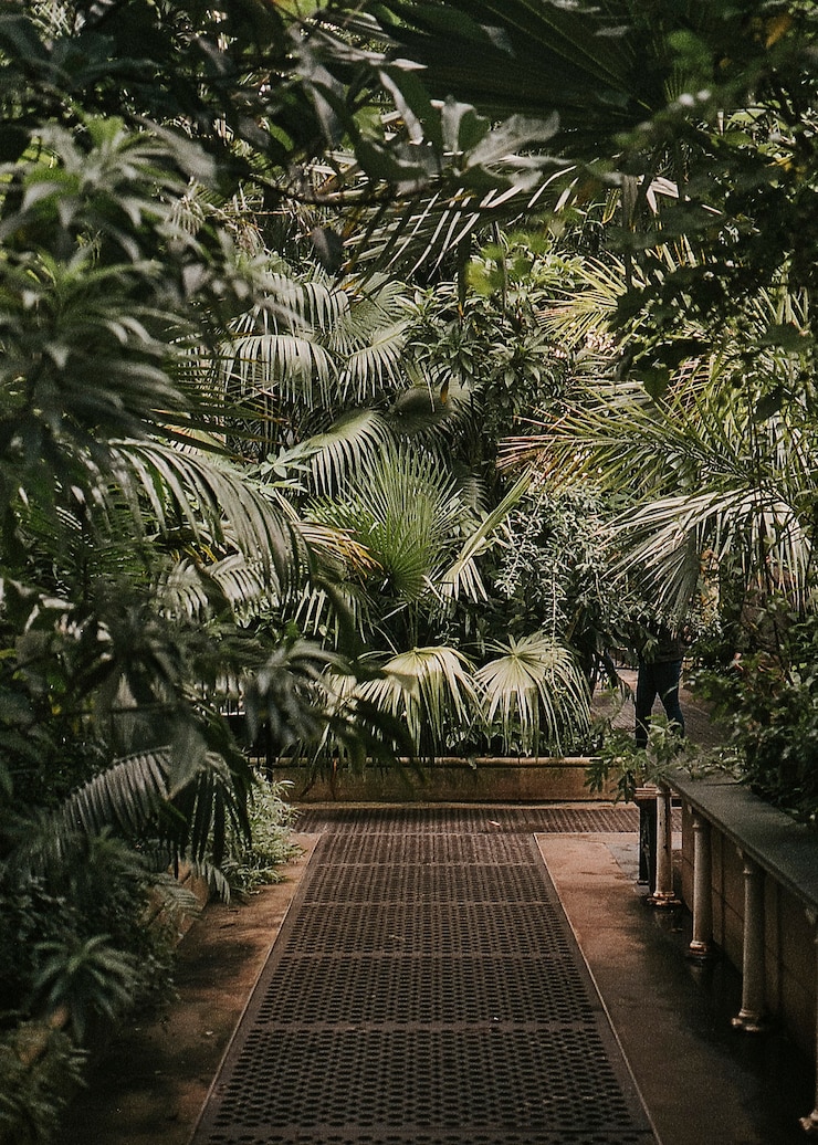 Photo gratuit jardin botanique moody serre nature photo