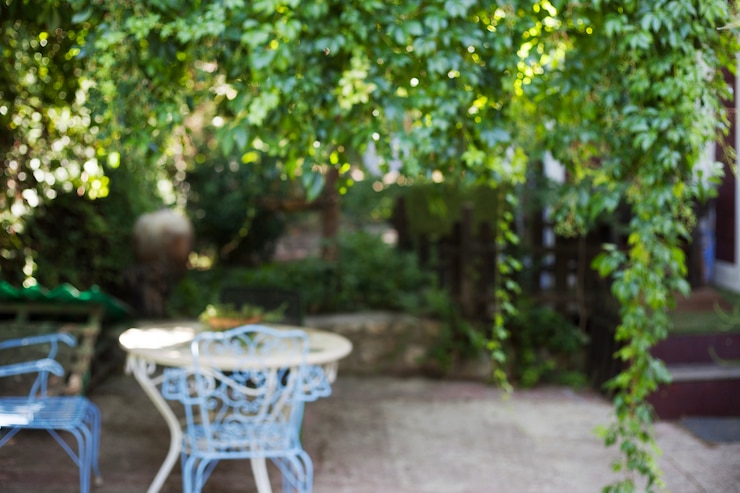 Photo gratuit jardin avec fond de table