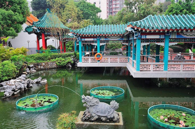 Photo gratuite jardin de hong-kong