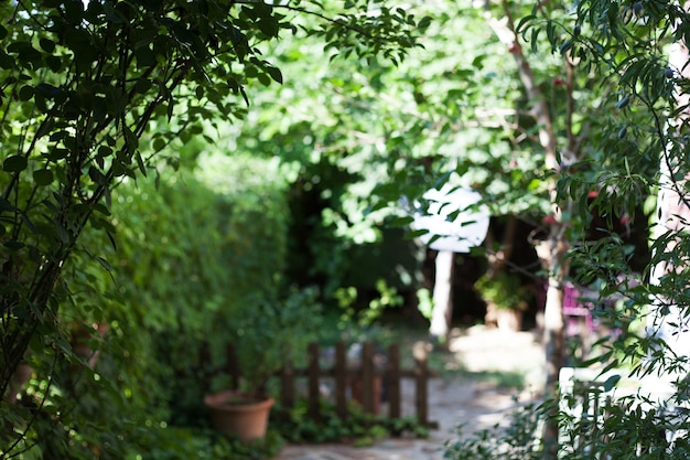 Jardin en journée ensoleillée