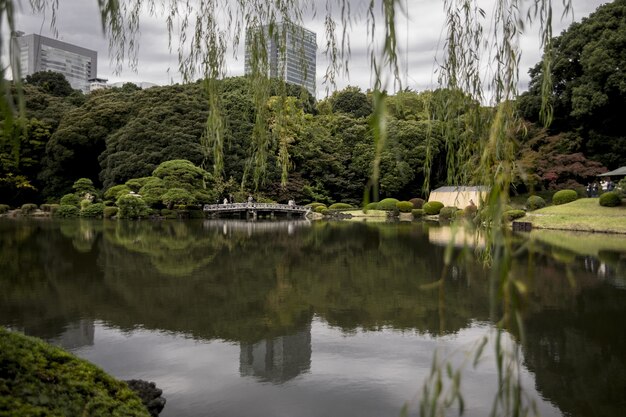 Jardin national de Shinjuku Gyoen