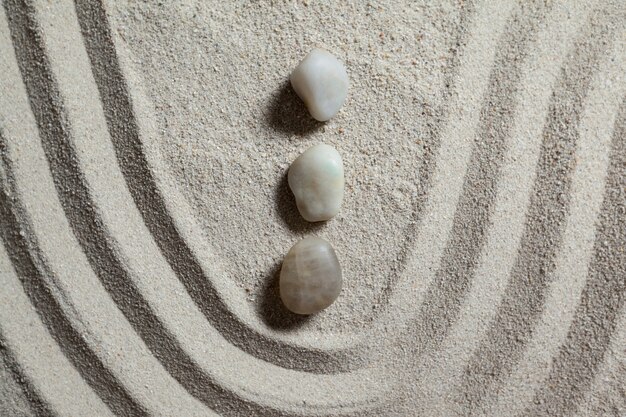 jardin zen avec du sable et des pierres ratissé