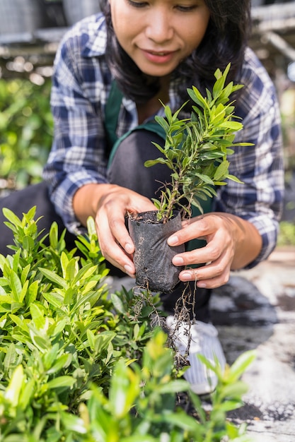 Photo gratuite jardinage