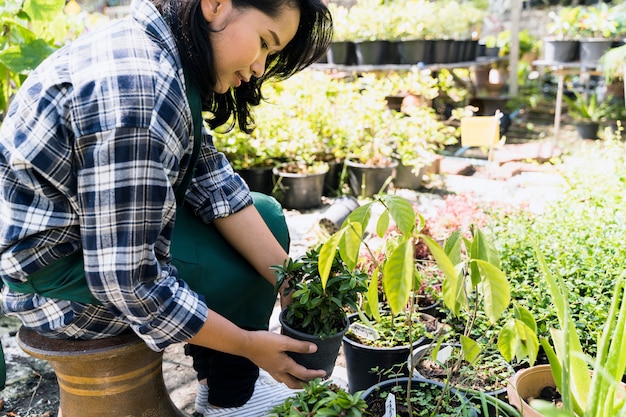 Photo gratuite jardinage