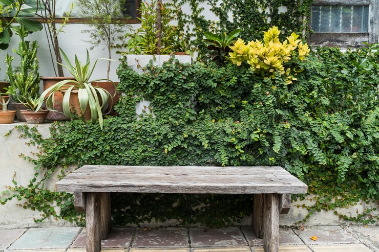 Photo gratuit jardinage