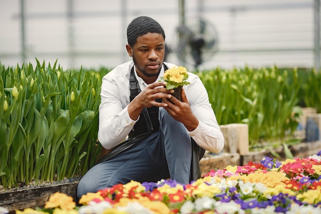 Photo gratuite jardinier dans un tablier. guy africain dans une serre. fleurs dans un pot.