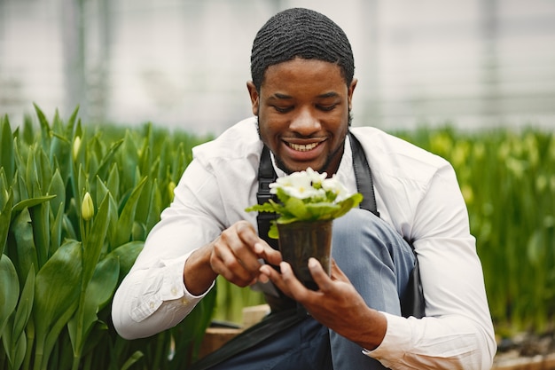 Jardinier dans un tablier. Guy africain dans une serre. Fleurs dans un pot.