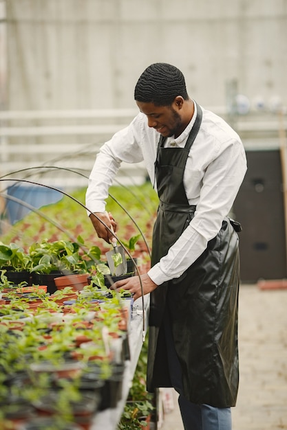 Photo gratuite jardinier dans un tablier. guy africain dans une serre. fleurs dans un pot.