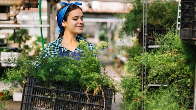 Photo gratuite jardinier femme tenant la caisse avec des plantes fraîches