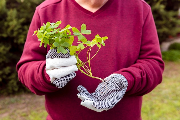 Photo gratuite jardinier, gros plan, tenue, plante