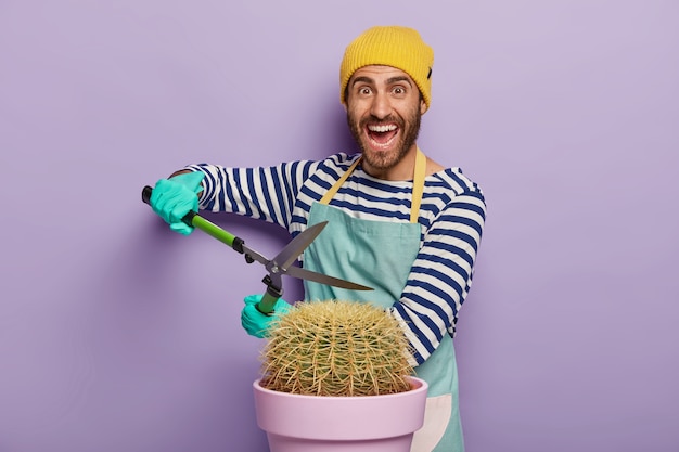 Un jardinier masculin positif coupe le cactus avec un sécateur ou une tondeuse, vêtu de vêtements de travail, porte des gants de protection, élague la plante à la maison, se dresse sur un fond violet.