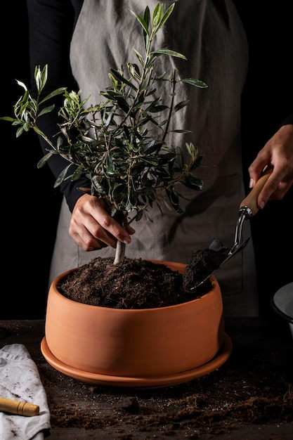 Jardinier vue de face avec tablier plantant un arbre