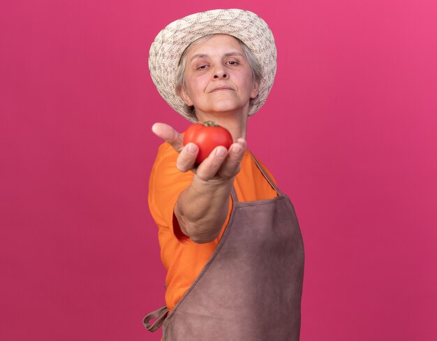 Jardinière âgée confiante portant un chapeau de jardinage tenant une tomate isolée sur un mur rose avec espace pour copie