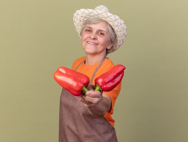 Jardinière âgée souriante portant un chapeau de jardinage tenant des poivrons rouges isolés sur un mur vert olive avec espace pour copie
