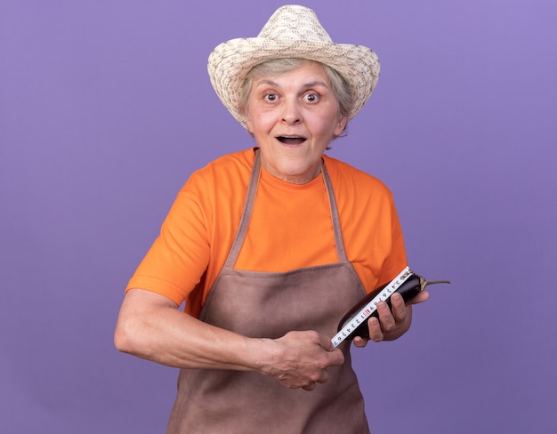 Une jardinière âgée surprise portant un chapeau de jardinage mesurant l'aubergine avec un ruban à mesurer