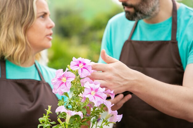 Jardiniers cultivés floue parlant de fleurs de pétunia