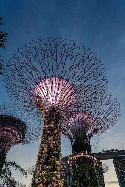 Jardins extérieurs de la baie à Singapour