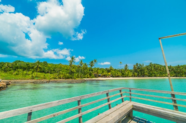 Jetée en bois ou pont avec plage tropicale