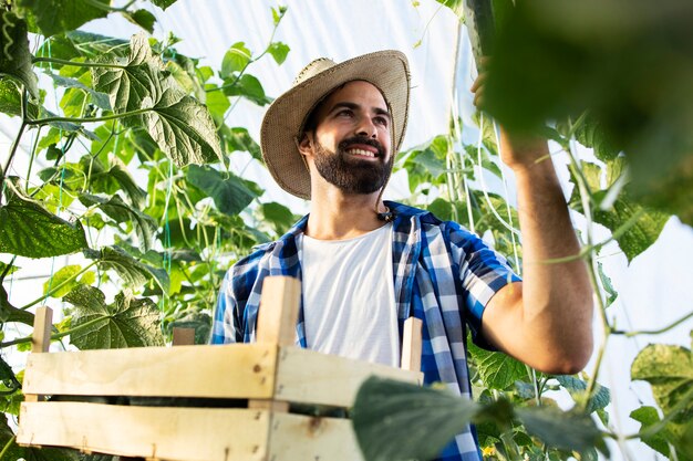 Jeune agriculteur entrepreneur cultivant et produisant des légumes biologiques frais