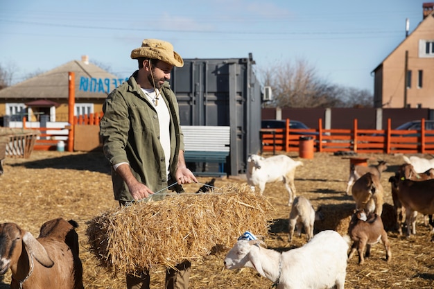 Jeune agriculteur nourrissant le foin de ses chèvres à la ferme