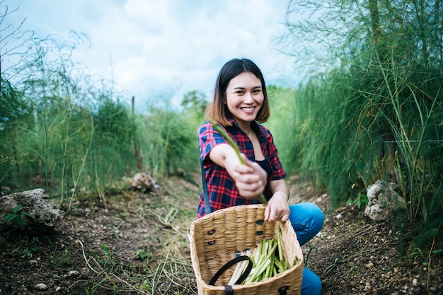 Jeune agriculteur récolte des asperges fraîches avec la main dans le panier.