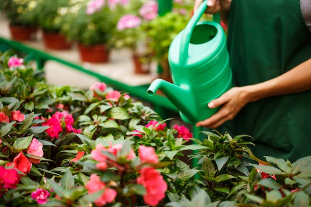 Photo gratuite jeune belle fleuriste arrosant des fleurs.