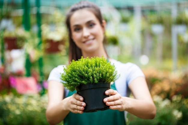 Photo gratuite jeune belle fleuriste posant, souriant parmi les fleurs.