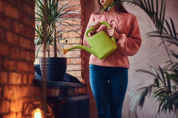 Jeune charmante brune arrosant une plante en pot debout dans une pièce avec un intérieur loft.