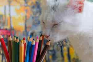 Photo gratuite un jeune chat blanc domestique sentant avec ses yeux fermés les crayons colorés