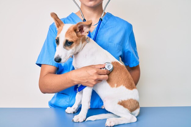 Jeune chiot chez le vétérinaire se rendant au bilan de santé professionnel examinant le chien à l'aide d'un stéthoscope