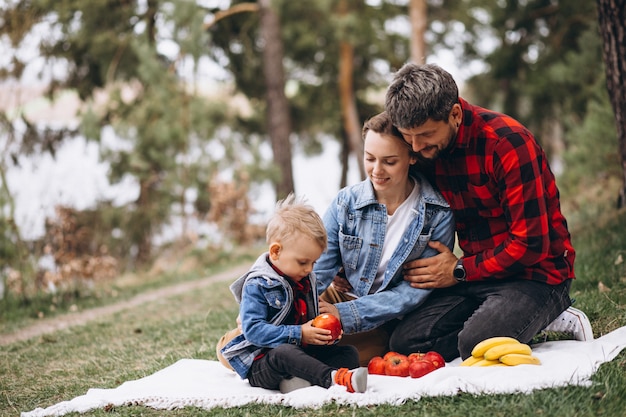 Jeune famille, dans parc, avoir, piscnic