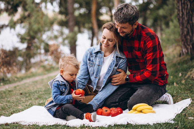 Jeune famille, dans parc, avoir, piscnic