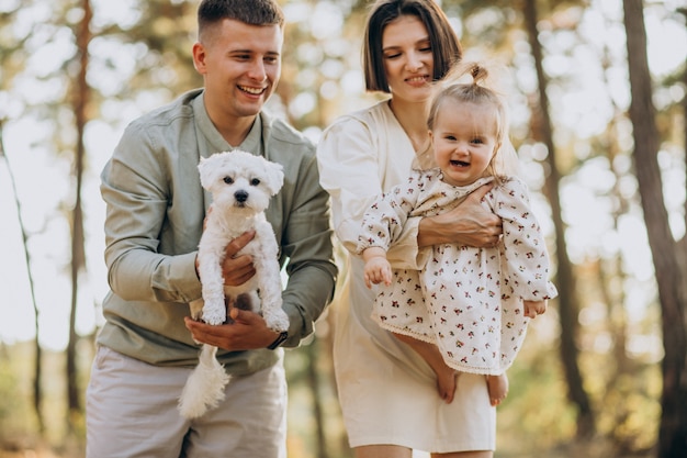 Jeune famille avec jolie petite fille marchant dans la forêt au coucher du soleil