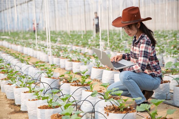 jeune femme contrôlant une plantation